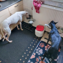 PHOTO-2025-12-13-16-44-14 3