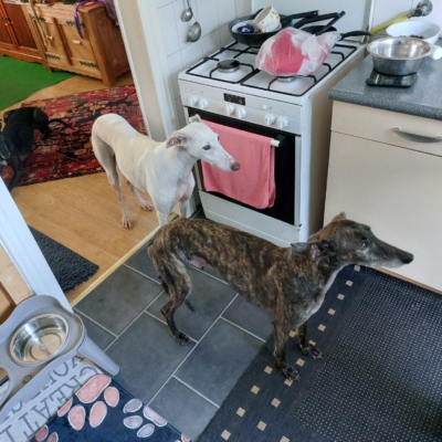 PHOTO-2025-12-13-16-44-14 4