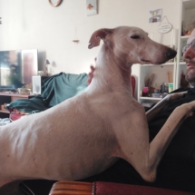 PHOTO-2025-12-13-16-44-14 5