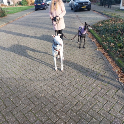 PHOTO-2025-12-13-16-44-14 6