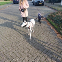 PHOTO-2025-12-13-16-44-14 7