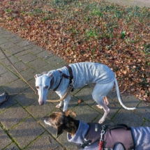 PHOTO-2025-12-13-16-44-14 8