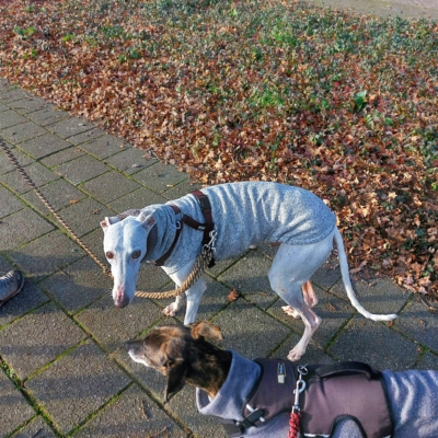 PHOTO-2025-12-13-16-44-14 8