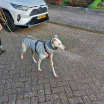 PHOTO-2025-12-13-16-44-14 9