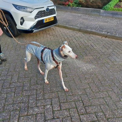 PHOTO-2025-12-13-16-44-14 9