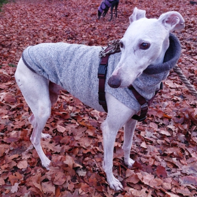 PHOTO-2025-12-13-17-40-25 5