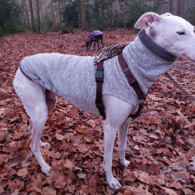 PHOTO-2025-12-13-17-40-25 6