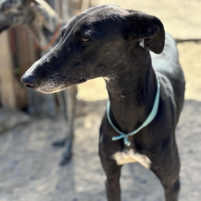 PHOTO-2025-12-19-08-57-07 2