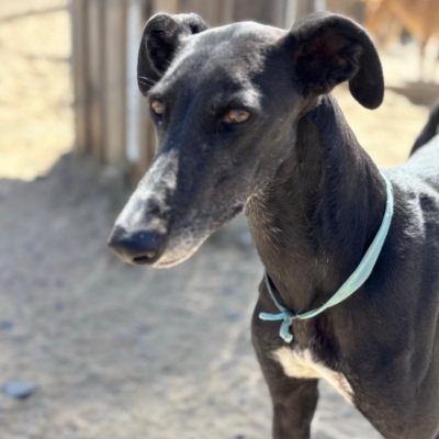 PHOTO-2025-12-19-08-57-07