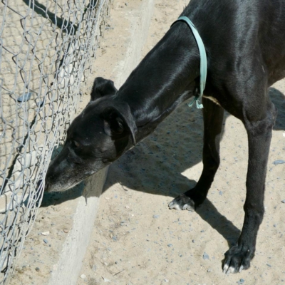 PHOTO-2025-12-19-08-57-08 11