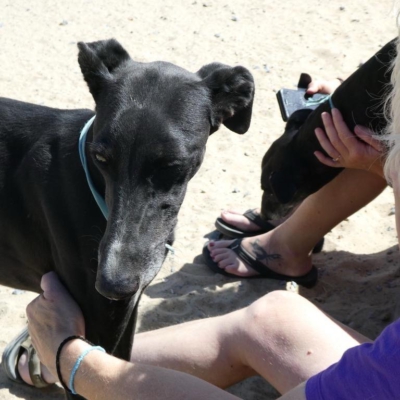 PHOTO-2025-12-19-08-57-08 12