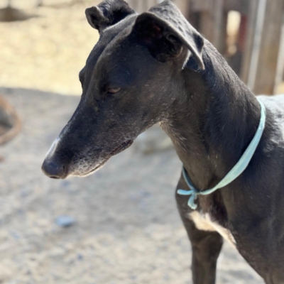 PHOTO-2025-12-19-08-57-08 2