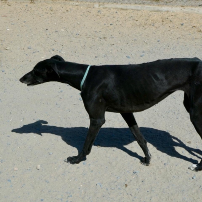 PHOTO-2025-12-19-08-57-08 4