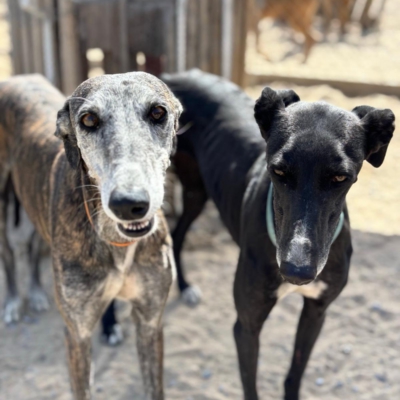 PHOTO-2025-12-19-08-57-08 5