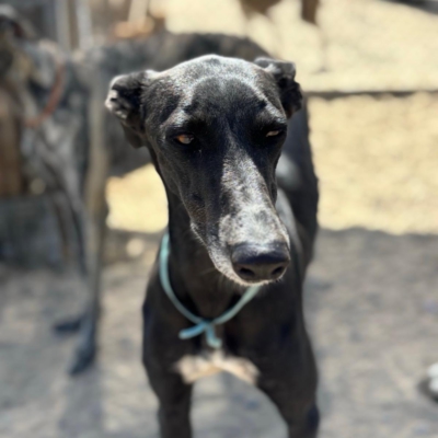 PHOTO-2025-12-19-08-57-08 6