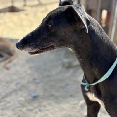 PHOTO-2025-12-19-08-57-08 7