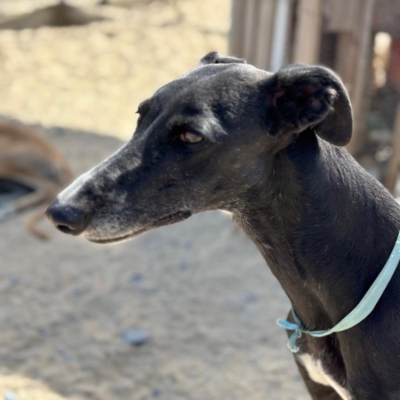 PHOTO-2025-12-19-08-57-08 8