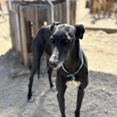 PHOTO-2025-12-19-08-57-08 9