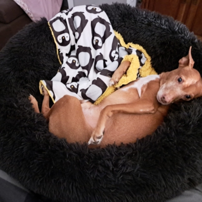 PHOTO-2025-12-19-20-35-50 2