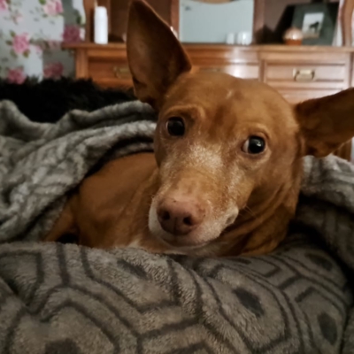 PHOTO-2025-12-19-20-35-50 3