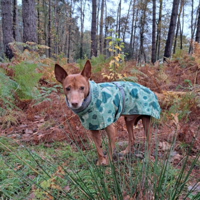 PHOTO-2025-12-19-20-35-50 4