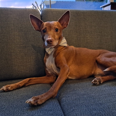 PHOTO-2025-12-19-20-35-50