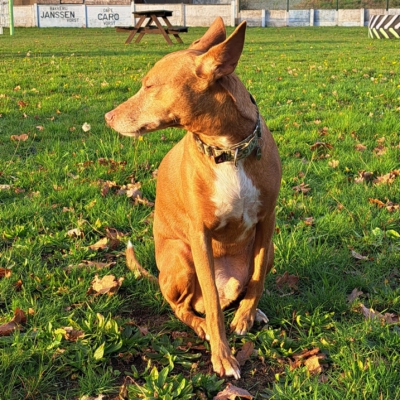 PHOTO-2025-12-19-20-35-50 5