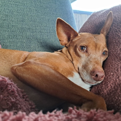 PHOTO-2025-12-19-20-35-50 6