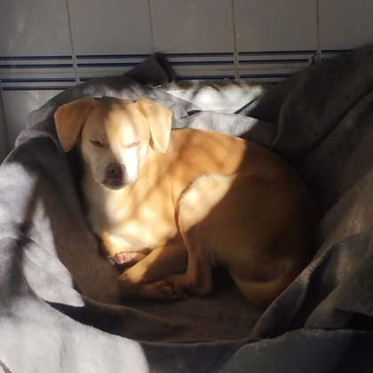 PHOTO-2025-12-19-21-19-34 2