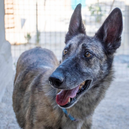 PHOTO-2025-12-20-11-23-07 2