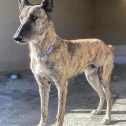 PHOTO-2025-12-20-11-23-07 3