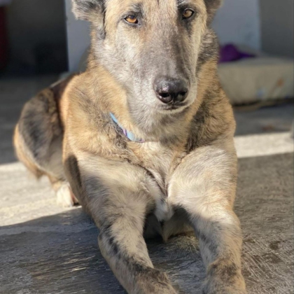 PHOTO-2025-12-20-11-23-07 4