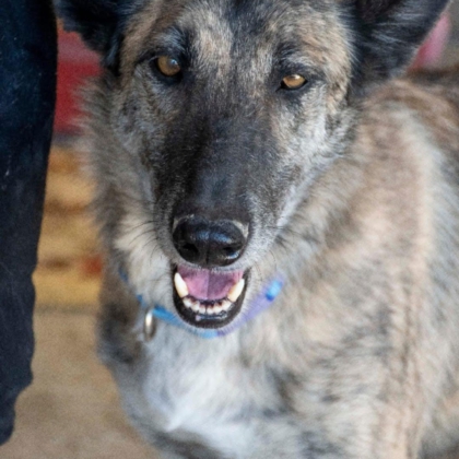 PHOTO-2025-12-20-11-23-07