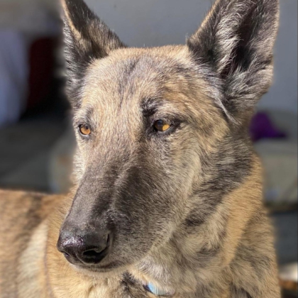 PHOTO-2025-12-20-11-23-07 5