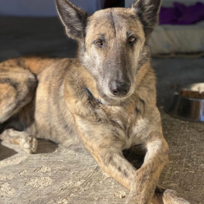 PHOTO-2025-12-20-11-23-07 6