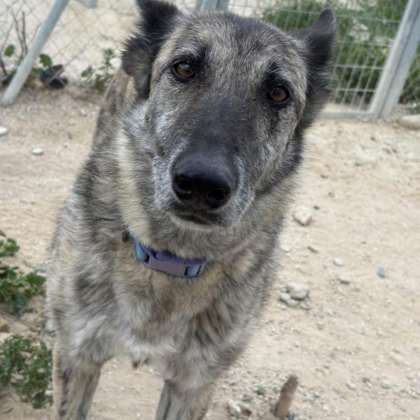 PHOTO-2025-12-20-11-23-07 7