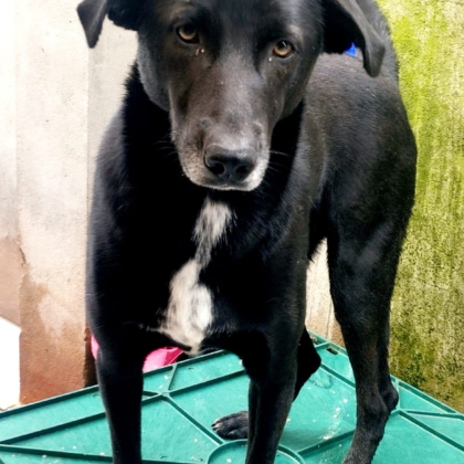 PHOTO-2025-12-20-12-50-15