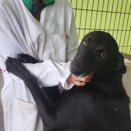 PHOTO-2025-12-20-12-50-23