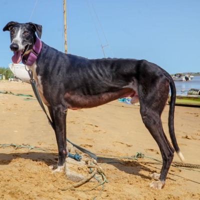 PHOTO-2025-12-21-11-21-47 2