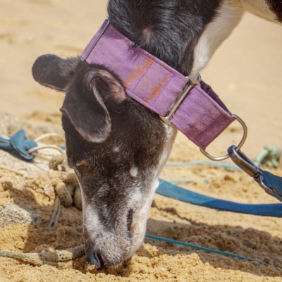 PHOTO-2025-12-21-11-21-47 3