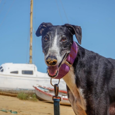 PHOTO-2025-12-21-11-21-47 4