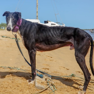 PHOTO-2025-12-21-11-21-47 6