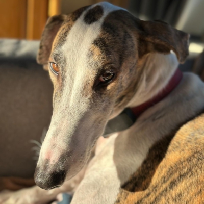 PHOTO-2025-12-24-14-27-25 2