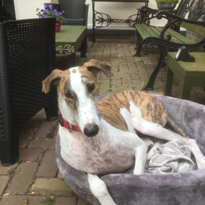 PHOTO-2025-12-24-14-27-25 3