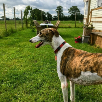 PHOTO-2025-12-24-14-27-25 4