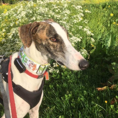 PHOTO-2025-12-24-14-27-25