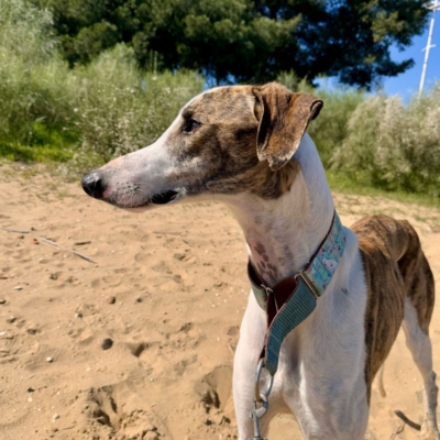 PHOTO-2025-12-24-14-27-26 2