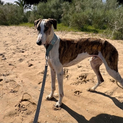 PHOTO-2025-12-24-14-27-26 3