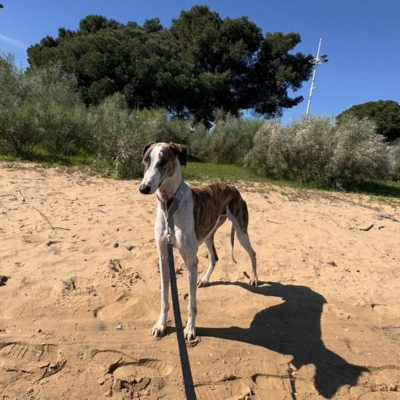 PHOTO-2025-12-24-14-27-26 4