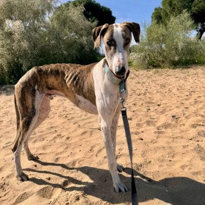 PHOTO-2025-12-24-14-27-26